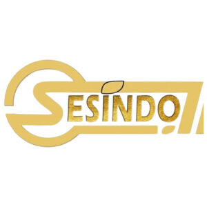 Sesindo